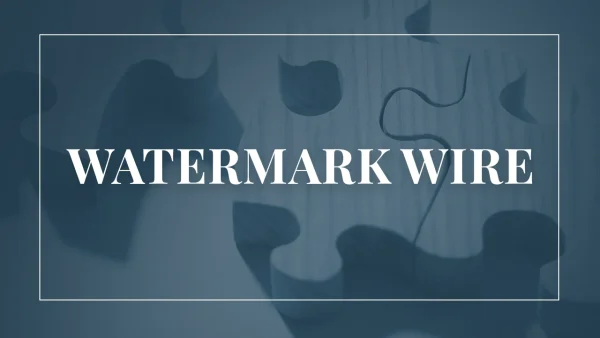 From Bias to Discipline – How to Mitigate Behavioral Risk in M&A Part 2